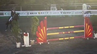 平成27年度　全日本学生馬術三大大会　総合　余力審査　2年　今橋裕晃　桜覇