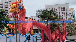 Singapore Chinatown-Chinese New Year. 牛車水迎接龍年