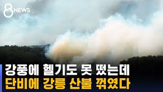 강풍에 헬기도 못 떴는데…단비에 강릉 산불 꺾였다 / SBS 8뉴스