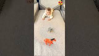 #toys cute baby horse ke sath masti karte hue