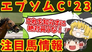 【エプソムカップ2023】知らないと損をする注目馬の情報！大波乱を演じる可能性があるのはこいつだ！！【ゆっくり解説】