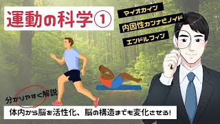 第18回【運動の科学①】運動習慣のすすめ    やらないと損する運動の効果をわかりやすく解説【イラスト付き】