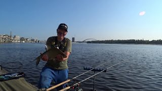 FEEDER🐳 BREASTFEEDING 🐳KYIVSKA NABEREZHNA 2025🇺🇦