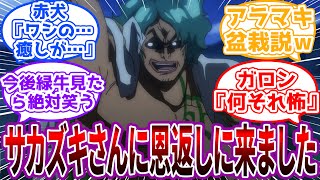 「おれはあの時剪定していただいた盆栽です」もしかして緑牛ってあの時の盆栽かもwに対する読者の反応集【ワンピース反応集】