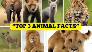 Top 3 amazing facts about animals (Unbelievable Instincts)