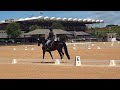 Dressage Intro Test B