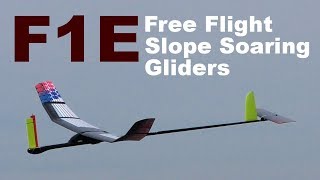 F1E Free Flight Slope Soaring Gliders, 2019