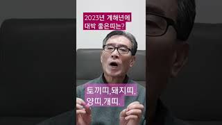 2023년 계묘년 토끼띠에 좋은운이 기대되는 띠!