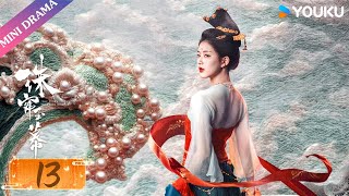 [The Story of Pearl Girl] EP13 | Zhao Lusi / Liu Yuning | YOUKU