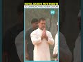 rahul gandhi pays tribute to grandmother indira gandhi on her birth anniversary