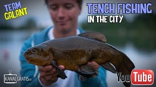 Tench Street Fishing | Team Galant