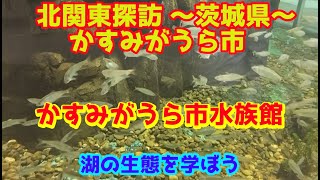 北関東探訪　かすみがうら市水族館～茨城県かすみがうら市を行く～