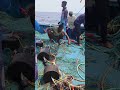 வலைக்கு சங்கிலி அணையும் காட்சி fishing shorts