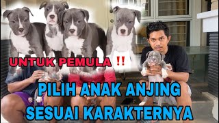 SANGAT PENTING ‼️ PILIH KARAKTER ANJING YANG SESUAI DENGAN KEINGINAN KALIAN