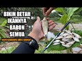 PAKAI CARA INI DIJAMIN POIN DEH || Mancing ikan wader pakai teknik gantung dan umpan uler kandang