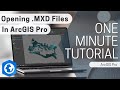 Import an ArcMap .MXD file into ArcGIS Pro in just ONE minute!