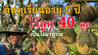 ทุเรียน 5 ปี 40 ลูก เป็นไงไปดูกัน : ต้นไม้และสวน TV