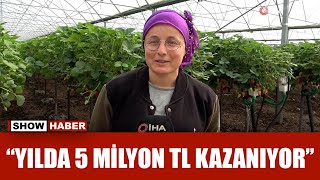 Öğretmenliği bıraktı yılda 5 milyon TL kazanıyor! Topraksız tarımla üretim!