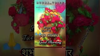 shubh mangalwar//happy Tuesday//good morning #rudravoice #shortsfeed #goodmorning #goodmorningstatus