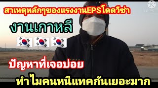 สาเหตุที่แรงงานEPSในเกาหลีหนีแทคกันเยอะมาก ใครจะมาเกาหลีต้องรู้🇰🇷🇰🇷🇰🇷⁉️⁉️