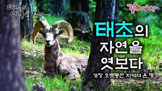 [트레킹 노트 세상을 걷다] 태초의 자연을 엿보다, 원시 자연의 품 속으로ㅣ7회ㅣKBS 2017.07.25 방송