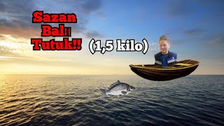 Sazan balığı tutuk!! (1,5 kilo)