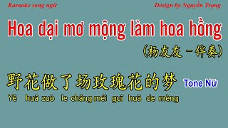 Karaoke (Nữ) - 野花做了场玫瑰花的梦 - Hoa dại mơ mộng làm hoa hồng 杨友友 - 半吨兄弟 (伴奏 Bbm + Tone Nam Fm)