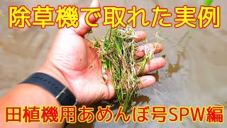 【美善/BIZEN】除草機あめんぼ号で取れた実例SPW編