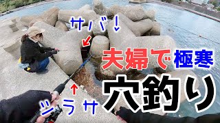 【穴釣り】和歌山 夫婦で穴釣りしてガシラ（カサゴ）鍋とビールを楽しみました♪