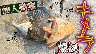 【キメラ】魚を結合して作ったエサで釣りしてみた【宮古島VS石垣島2021ver #7】