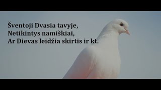 ŠVENTOJI DVASIA TAVYJE, NETIKINTYS NAMIŠKIAI, AR DIEVAS LEIDŽIA SKIRTIS IR KITI SVARBŪS KLAUSIMAI