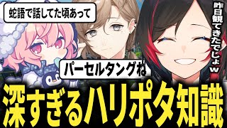 【知識】なるせと叶のハリーポッター知識が深すぎてついていけないうるかが可愛すぎるｗｗｗ【APEX/エーペックス】