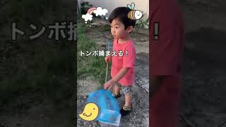 2歳児の虫取り名人の練習