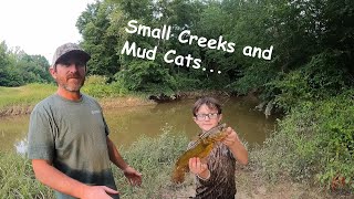 Small Creeks And Mud Cats