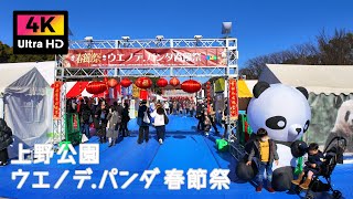 【4K】上野で楽しむパンダと春節 ウエノデ.パンダ春節祭を散歩 (Jan. 2025) | Walk around Pandas and Chinese New Year Fest in Ueno.