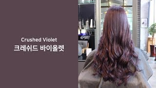 [프로 염색 레시피] 고급스러운 크레쉬드 바이올렛 (Mielle Blondie Anne Crushed Violet)