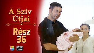 A Szív Útjai | 36. Rész Full (HD)