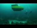 triton 3300 3 underwater short.mov