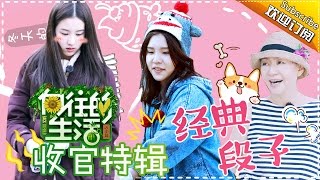 《向往的生活》收官第5期：还记得这些经典的段子嘛！一起来回顾吧~ Happy Life【湖南卫视官方频道】