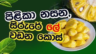 පිළිකා නසන, සිරුරේ ලේ වඩන කොස් | Siyatha 24