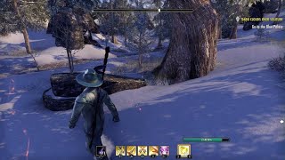 The Elder Scrolls Online: how many bots can you spot in this video.