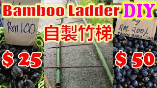 Bamboo Ladder with Iron Bar DIY 自製鐵條竹梯 Tangga Buluh Batang Besi DIY【BEAN'S Channel】