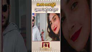 తెలుగు ఇండస్ట్రీకి పూజా హెగ్డే గుడ్ బై..? | Pooja Hegde Good Bye to Tollywood ? - TV9