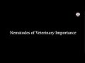 Nematodes of Veterinary Importance