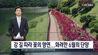 강 길 따라 꽃의 향연