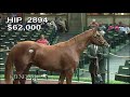 Carrick as a Keeneland September Yearling