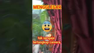 tak sengaja tertangkap camera#shorts