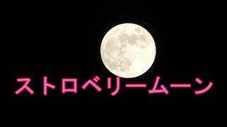 令和初の【ストロベリームーン】を撮影してみた！　2019年6月17日