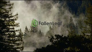 Sacramento Video Production - Fallen Leaf Films Demo Reel