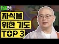 자식을 위한 기도 TOP3 [광우스님 소나무 주제별 몰아보기]